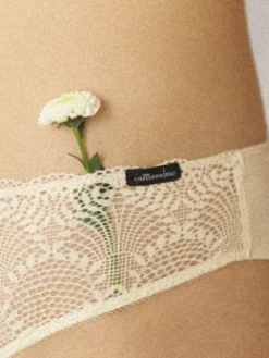 Brasil-Slip mit Spitze